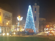 فيديو: للسنة الخامسة على التوالي - استعدادات لإضاءة شجرة عيد الميلاد بيافا 